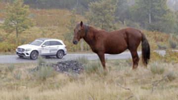 4º Mercedes Benz 4MATIC Santiago de Compostela 2015 19 1