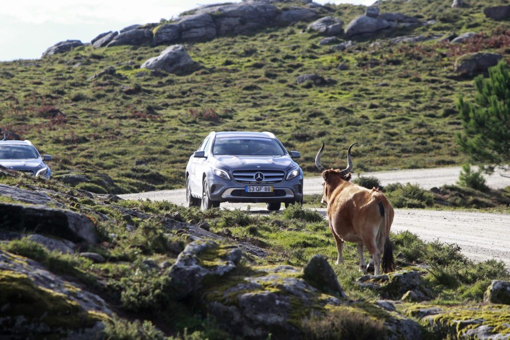 4º Mercedes Benz 4MATIC Santiago de Compostela 2015 90