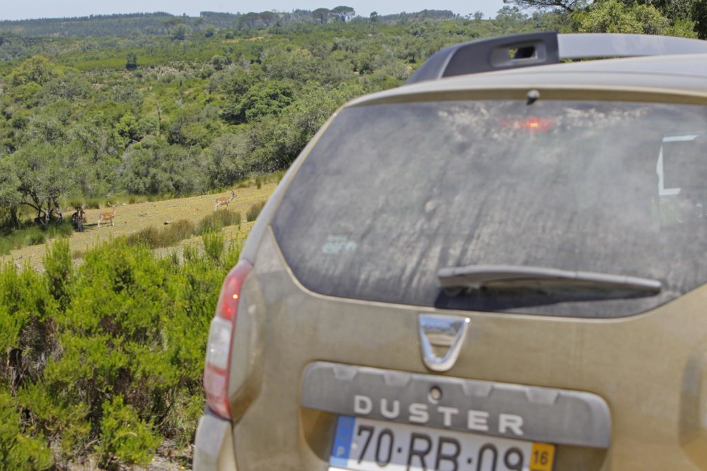 Aventura Dacia 4x2 2016