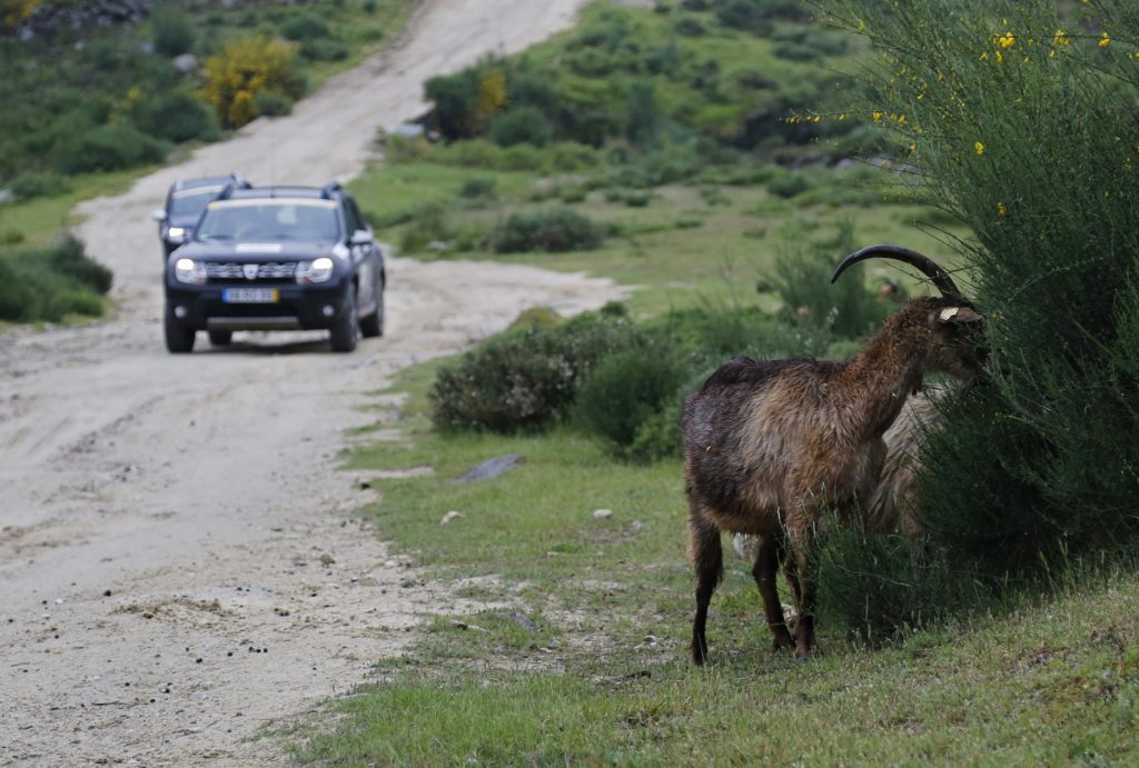 Aventura Dacia 4x2 2018