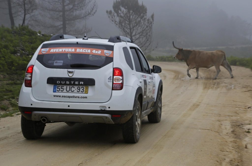 Aventura Dacia 4x2 2018