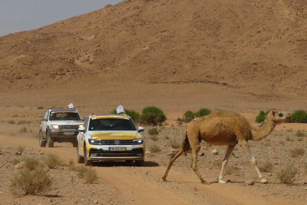 Off Road Bridgstone First Stop Marrocos 2017