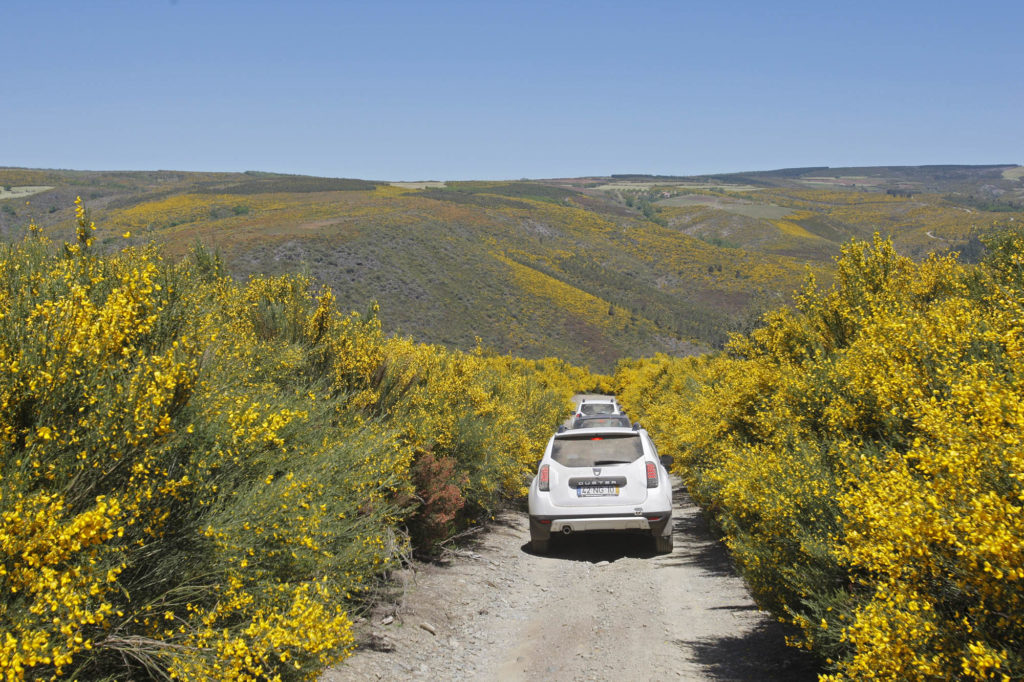 DACIA Duster Aventura 4X2 2013 45