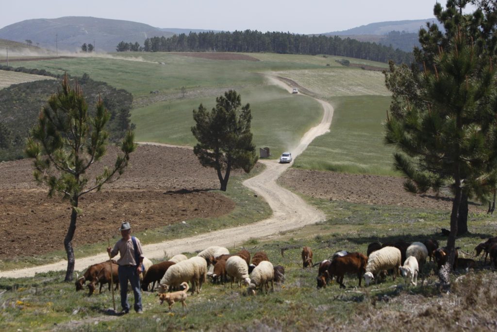 Desafio Turismo de Portugal 4X4 2010 37