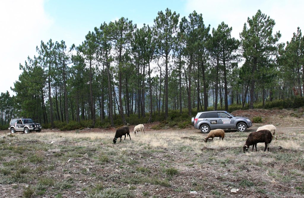 Raid Inatel Serra da Estrela 2009 107