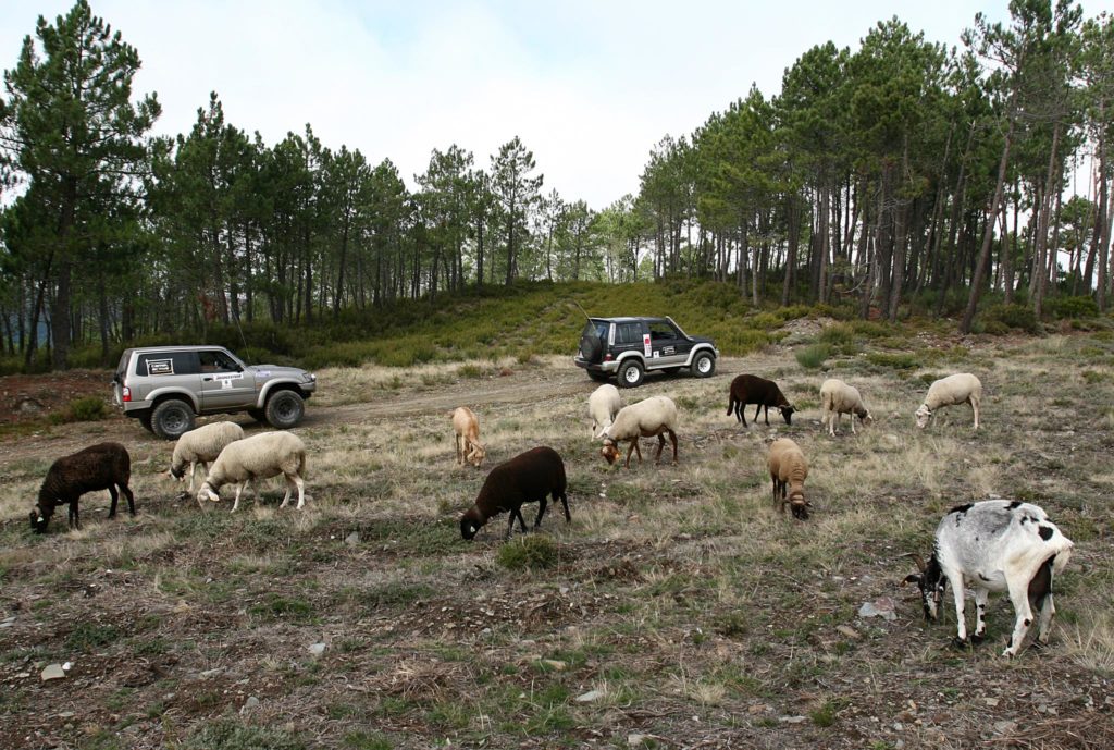 Raid Inatel Serra da Estrela 2009 110