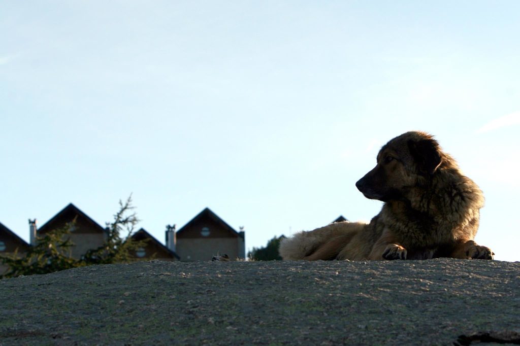 Raid Inatel Serra da Estrela 2009 42