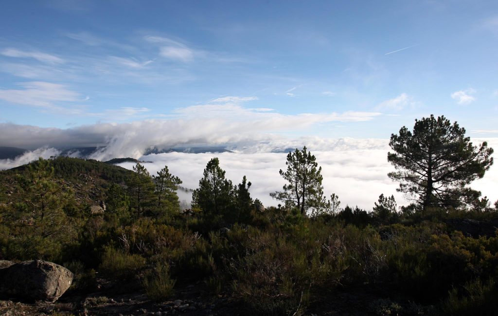 Raid Inatel Serra da Estrela 2009 63