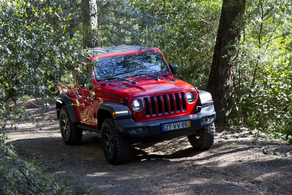 Jeep Wrangler Rubicon 19