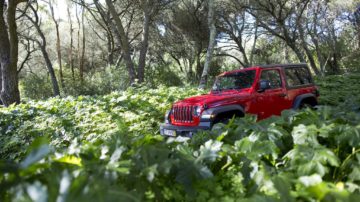 Jeep Wrangler Rubicon 3