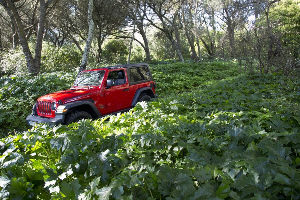 Jeep Wrangler Rubicon 33