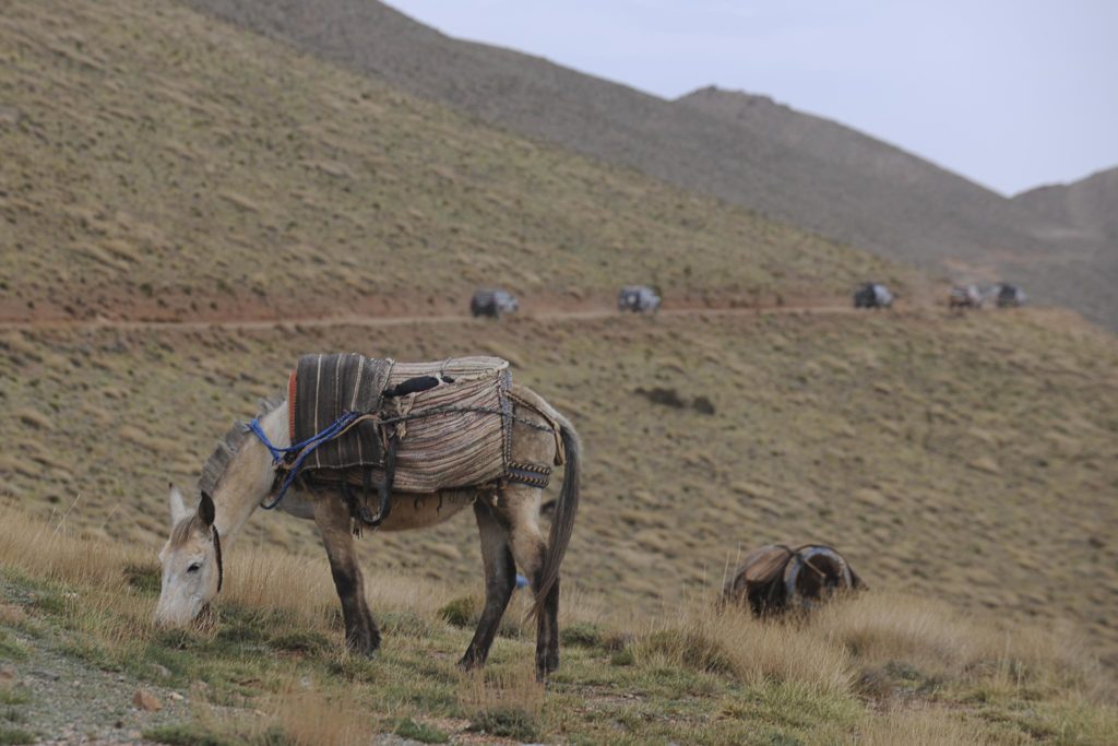 Off Road Bridgestone First Stop Marrocos 2019 1624