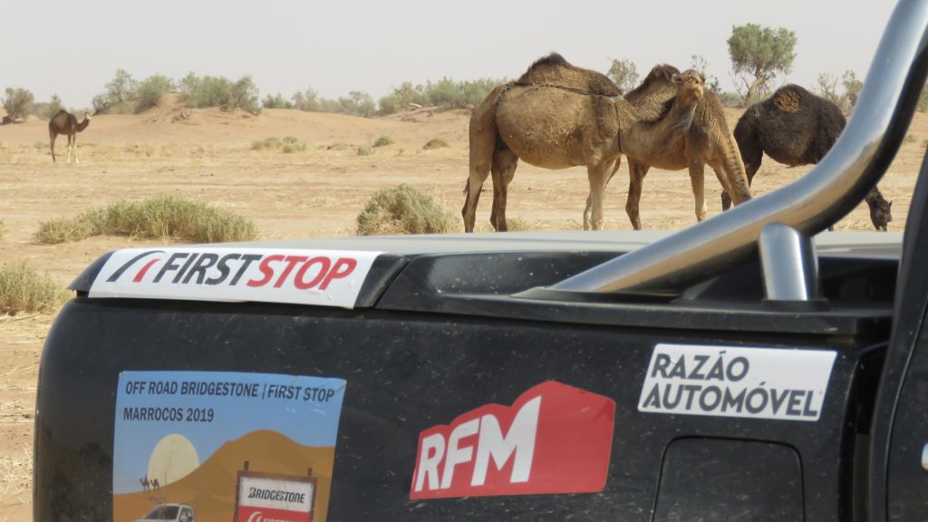 Off Road Bridgestone First Stop Marrocos 2019 NA 935