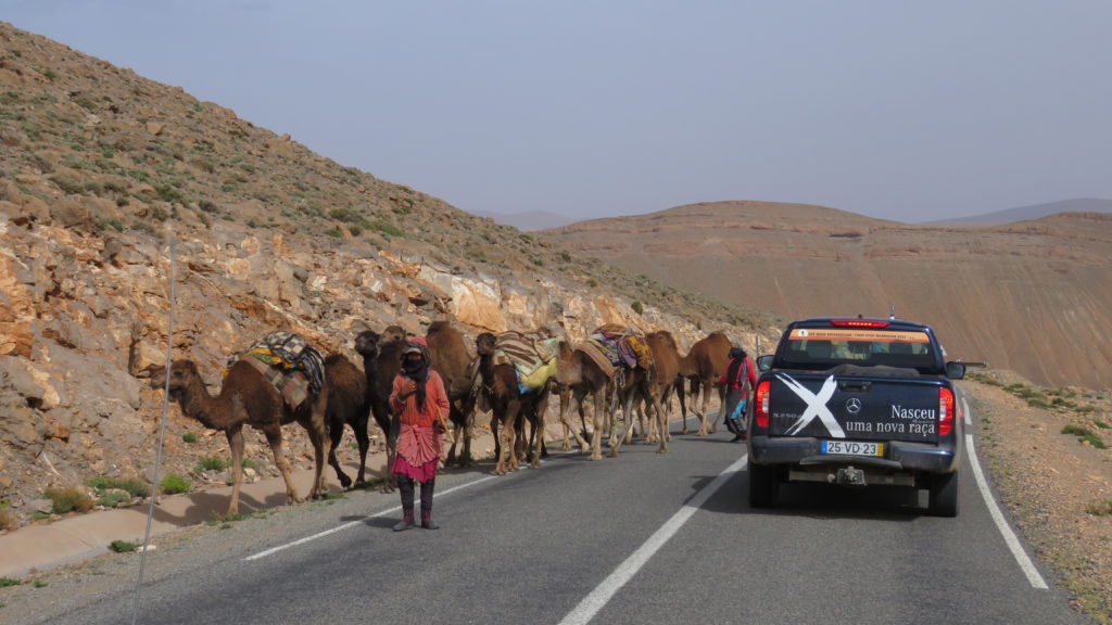 Off Road Bridgestone Marrocos 2019