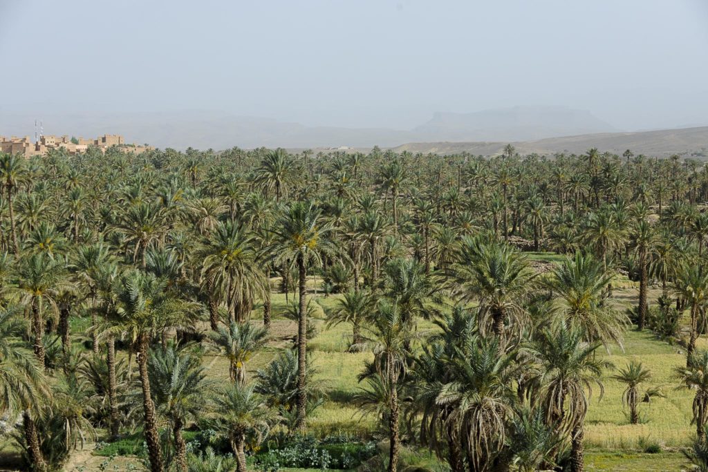 Off Road Bridgestone First Stop Marrocos 2019 1917