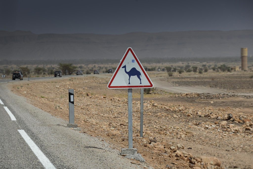 Off Road Bridgestone First Stop Marrocos 2019 2011