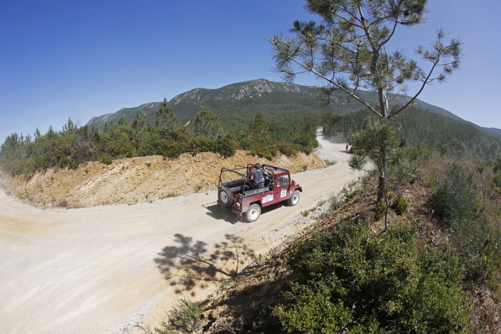 Off Road Razão Automóvel 363