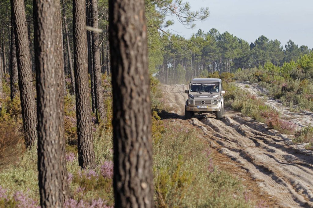 Mercedes Benz 4MATIC Experience 2019 14