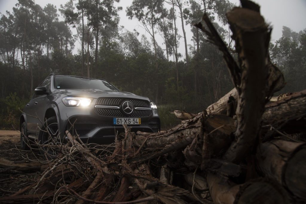 Mercedes Benz GLE350d 30