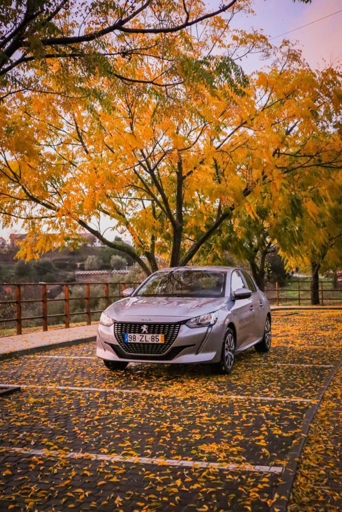 Peugeot 208 13