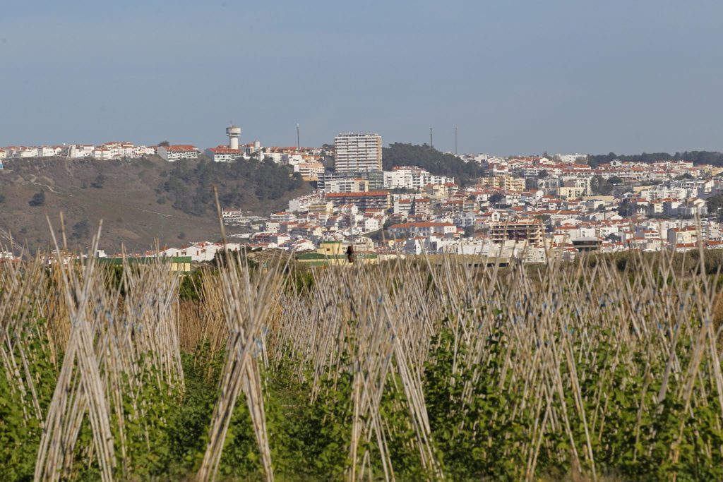 Nazaré Roteiro 1