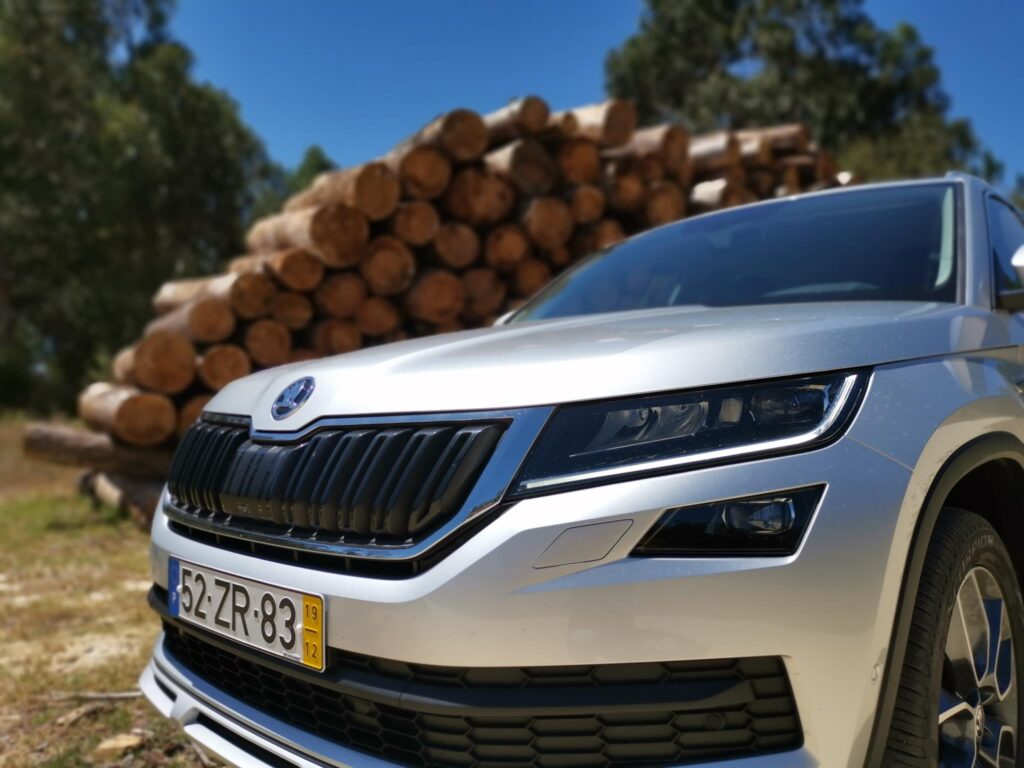 Skoda Kodiaq Scout 119