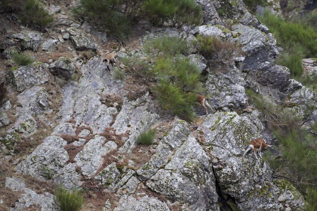 XVII Offroad Bridgestone ACP Caminhos de Santiago 0568