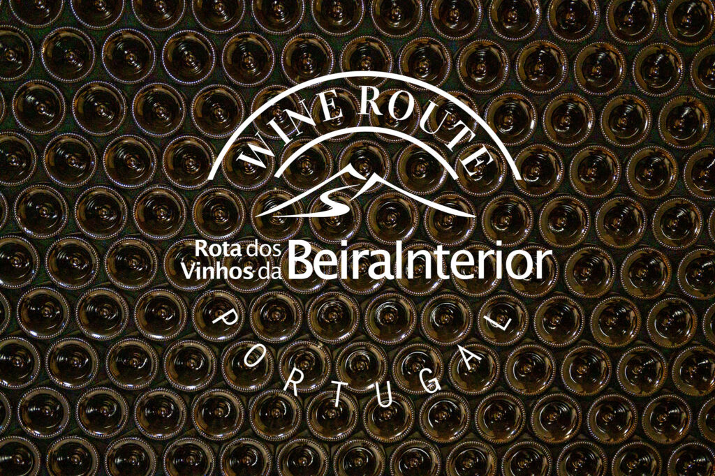 EN18 Rota dos Vinhos da Beira interior 02