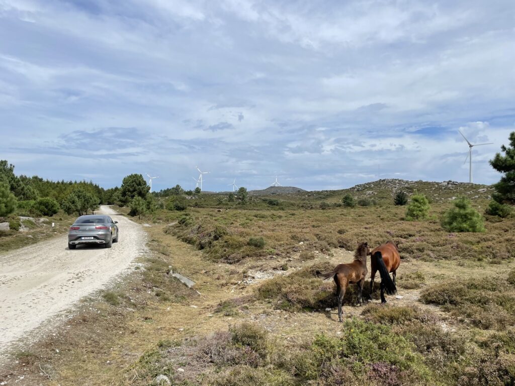 Mercedes Benz 4MATIC Experience Caminho de Santiago 2021 REC1 21 1