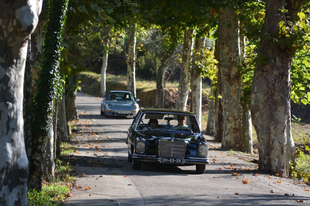 Termas Centro Classic Cars 2021 786