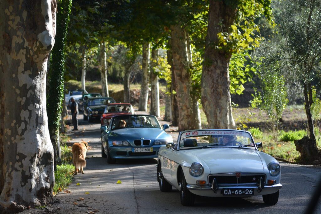 Termas Centro Classic Cars 2021 809