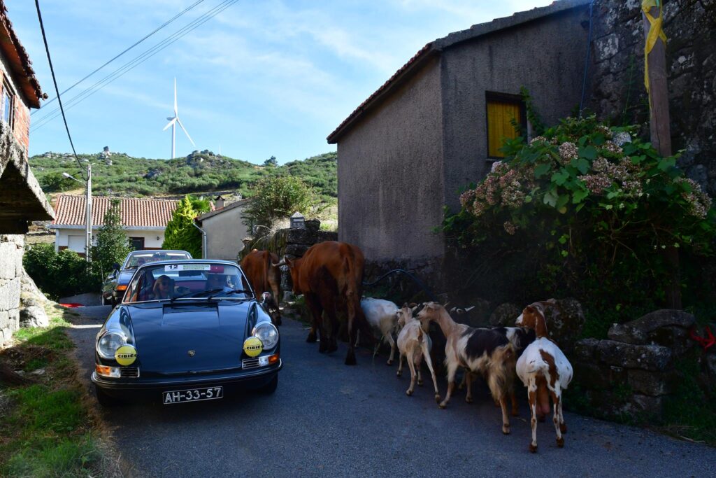 Termas Centro Classic Cars 2021 823