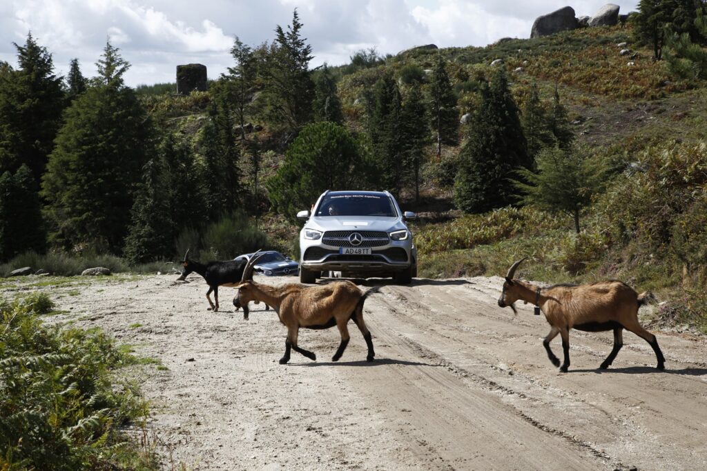 2021 Mercedes Benz 4Matic Experience 1405