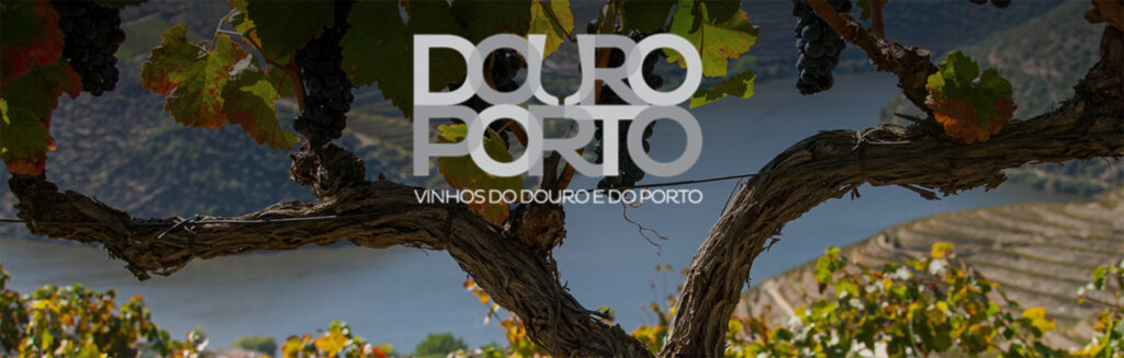 VinhosDouroePortoN221
