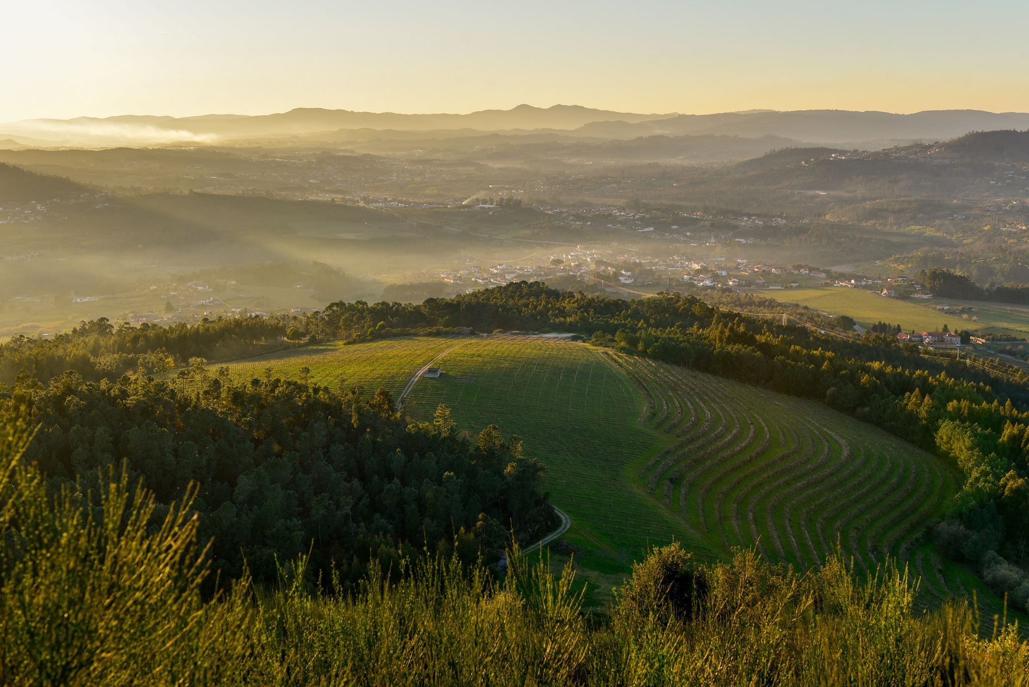 Roteiro Melgaco Moncao. Na rota dos vinhos verdes 1