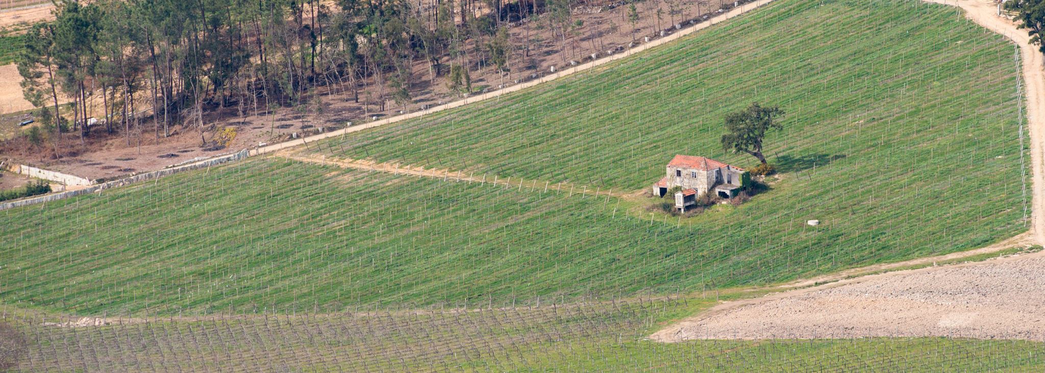 Roteiro Melgaco Moncao. Na rota dos vinhos verdes 13