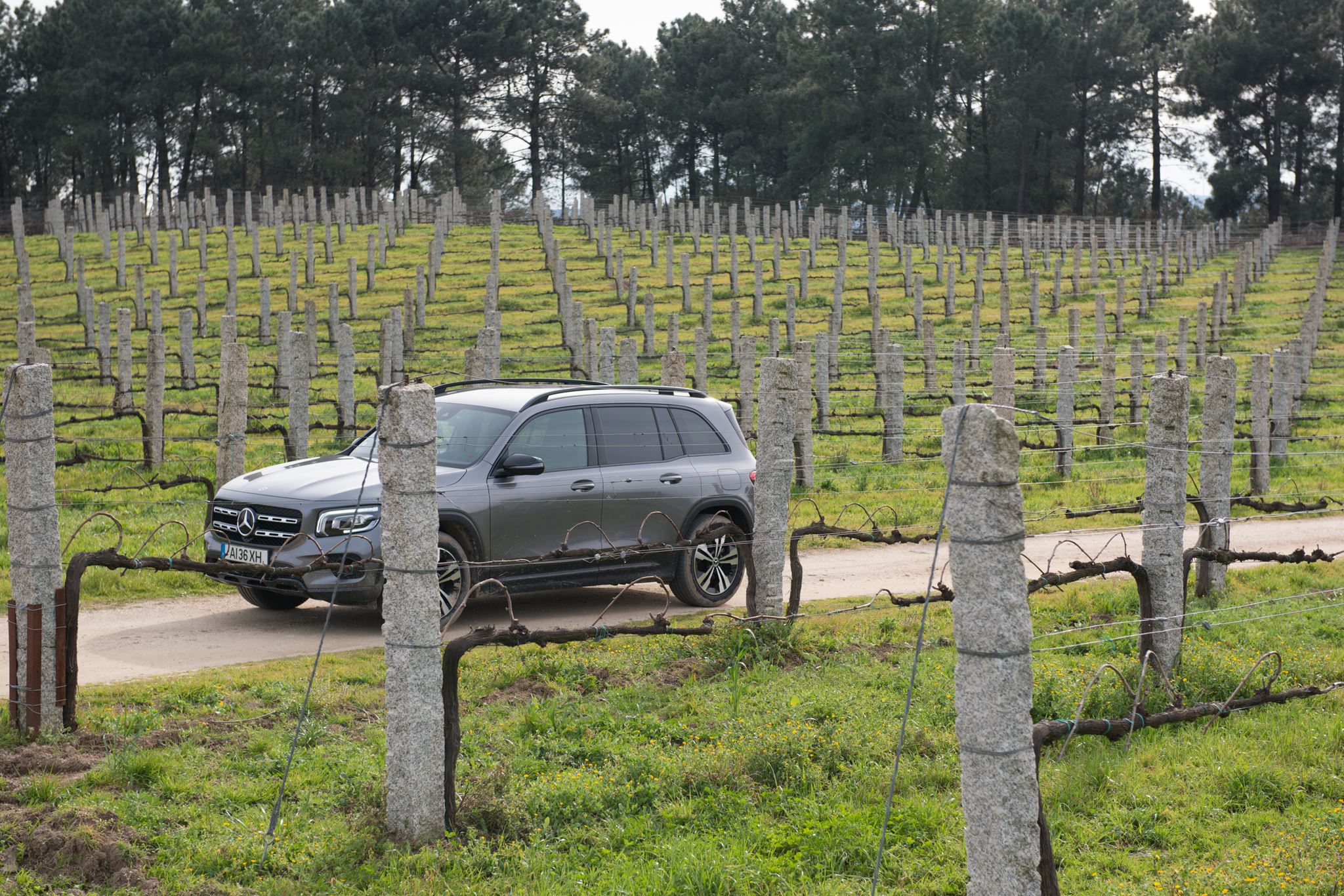 Roteiro Melgaco Moncao. Na rota dos vinhos verdes 7