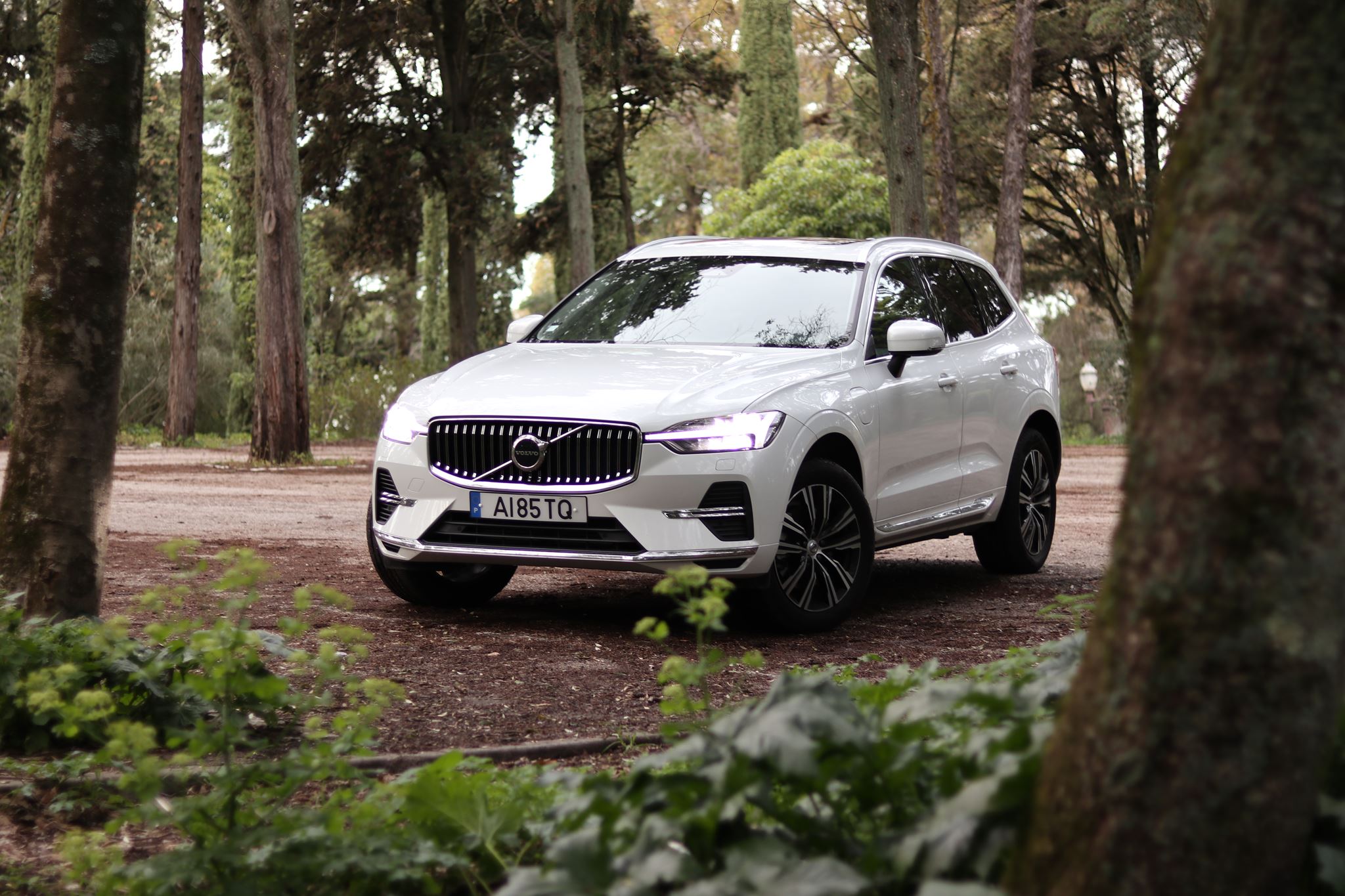 Volvo XC60 T6 Plug in MY22 9