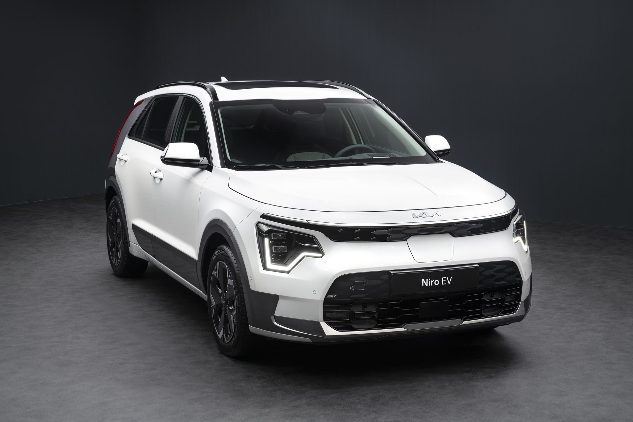 Kia Niro EV 2022 5