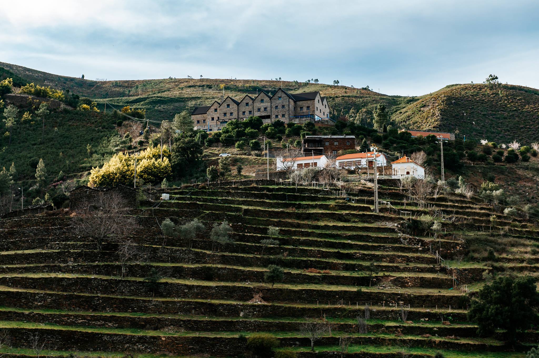 Rotas de Portugal EN17 2022.02.23 494