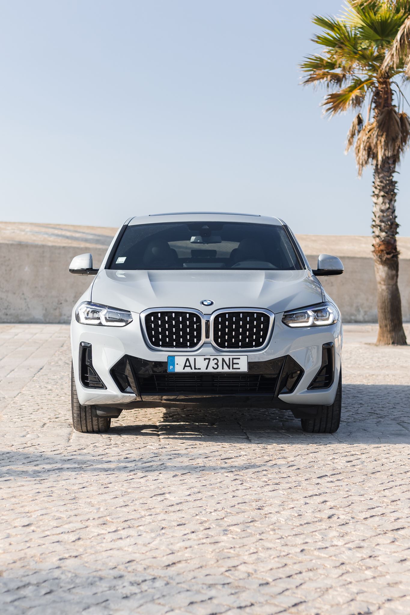 BMW X4 30d 21