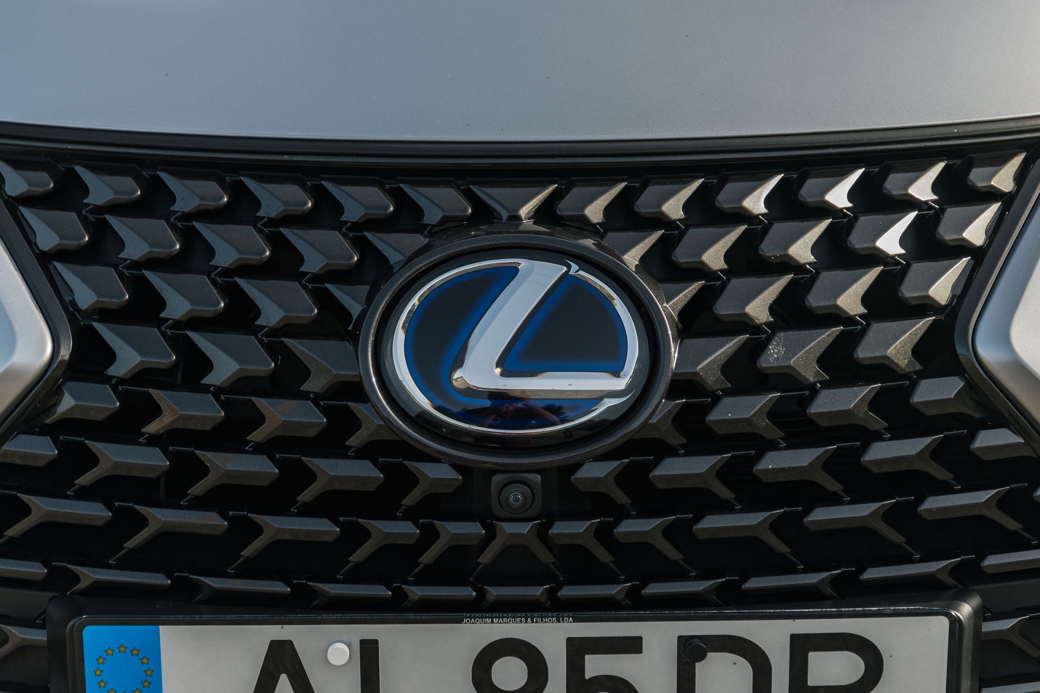 Lexus UX 300e 11