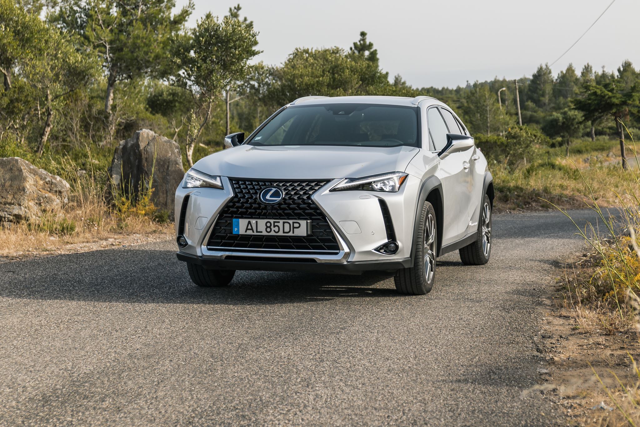 Lexus UX 300e 2