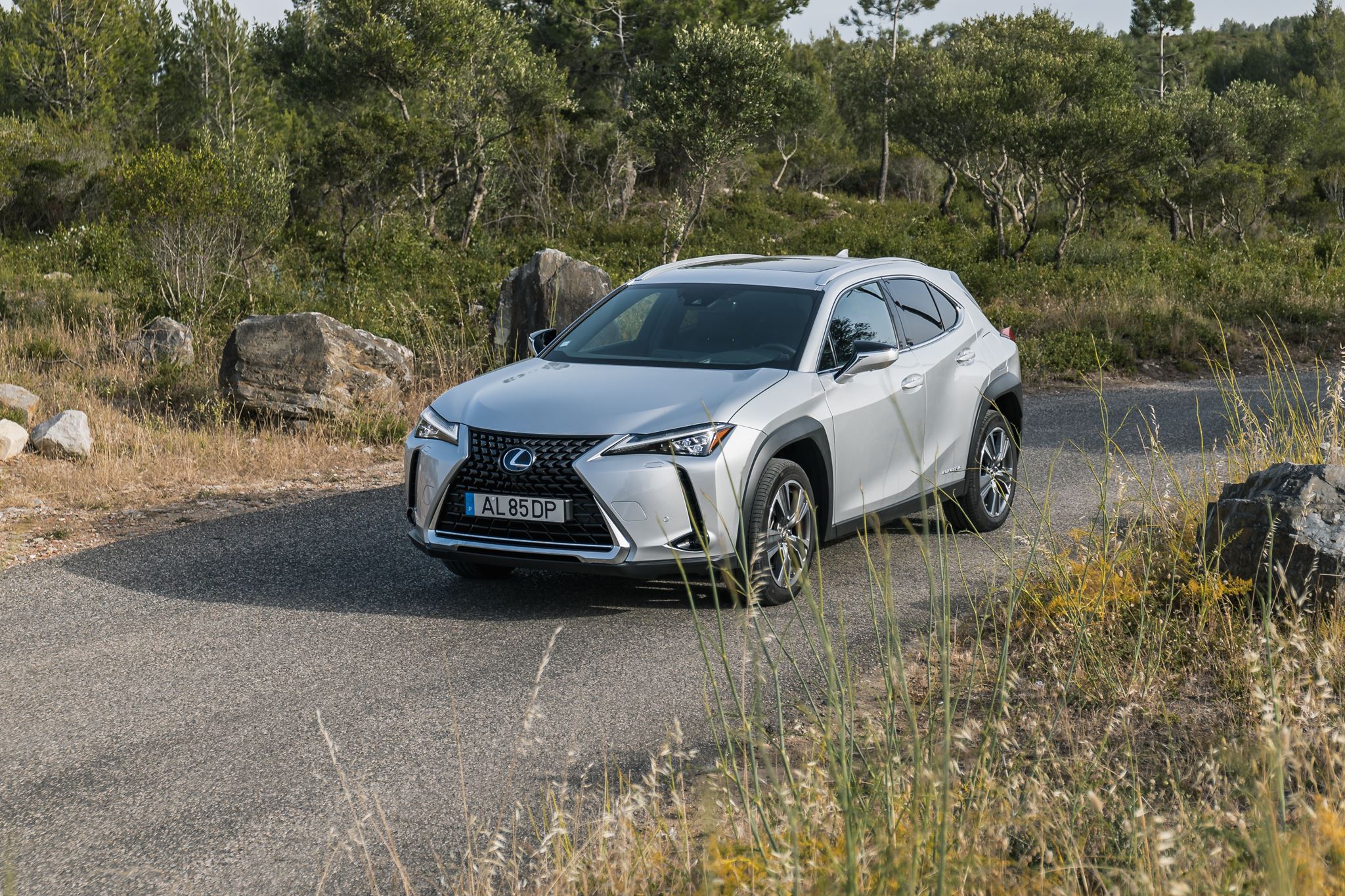 Lexus UX 300e 6