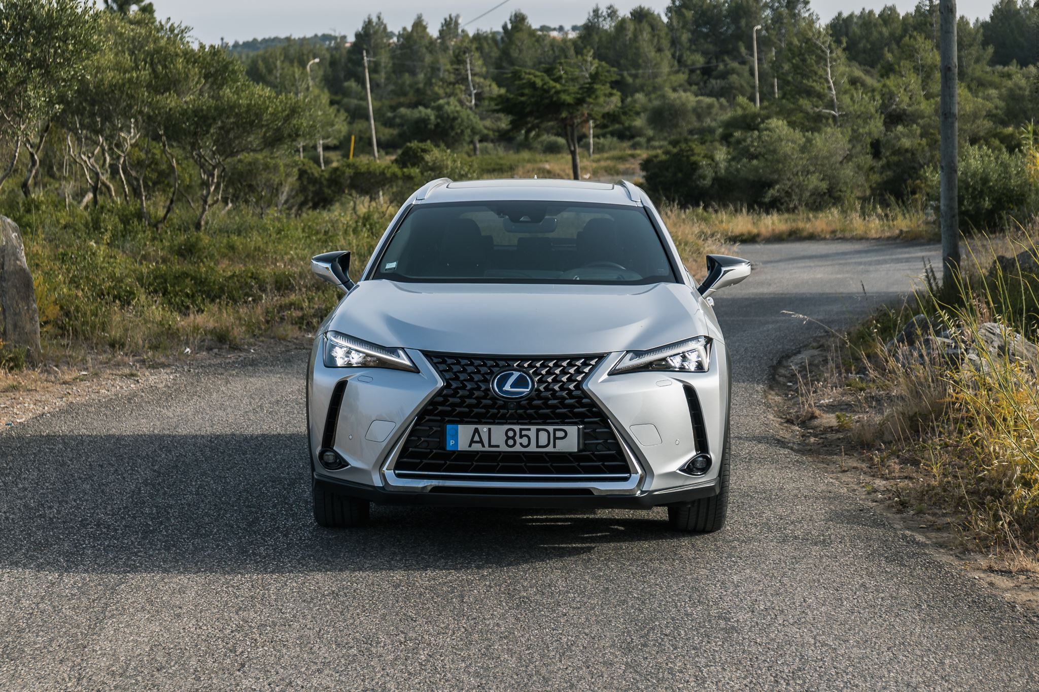 Lexus UX 300e 7