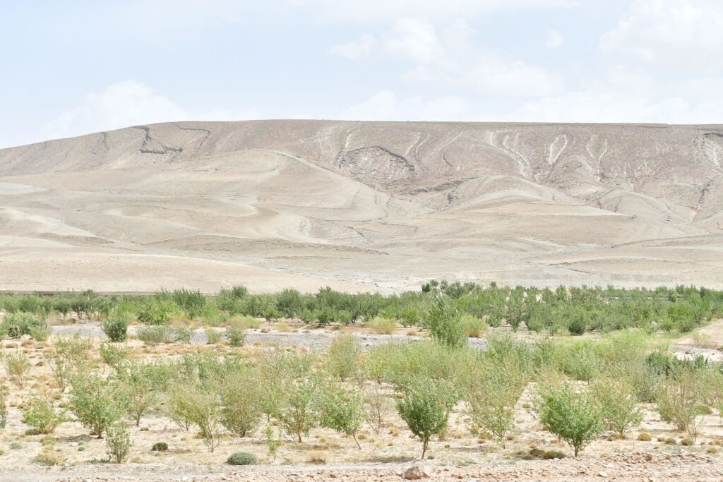 Bridgestone First Stop Marrocos 2022 Atlas Dia 4 250