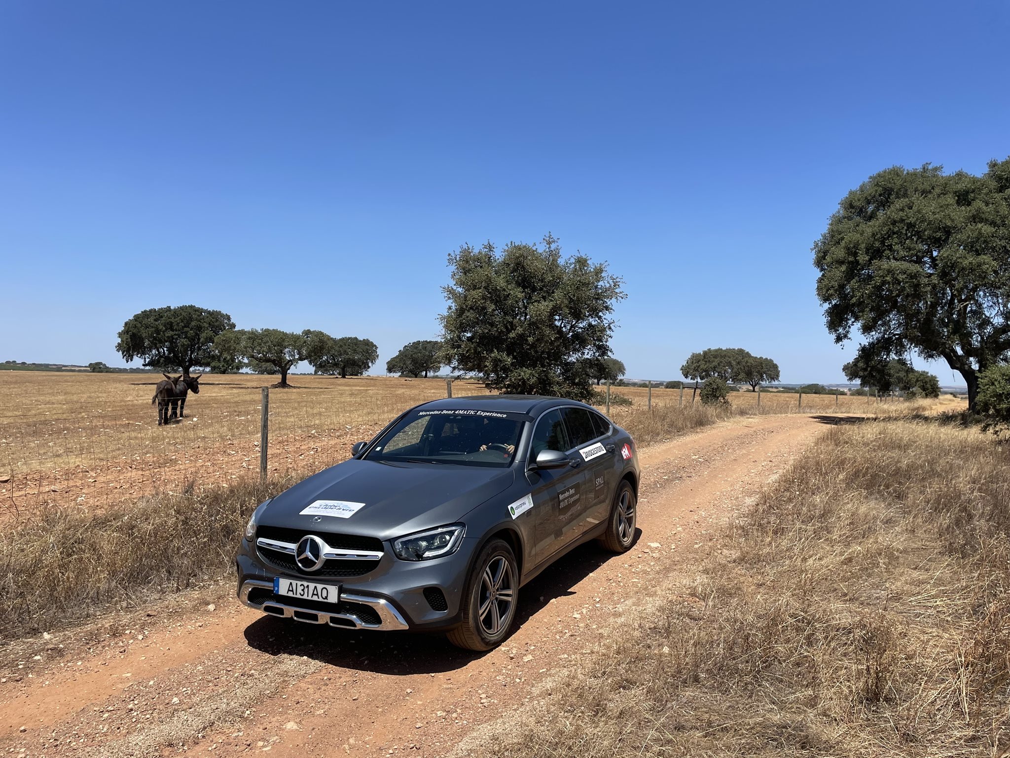 Mercedes Benz 4MATIC Experience 2022 REC1 10