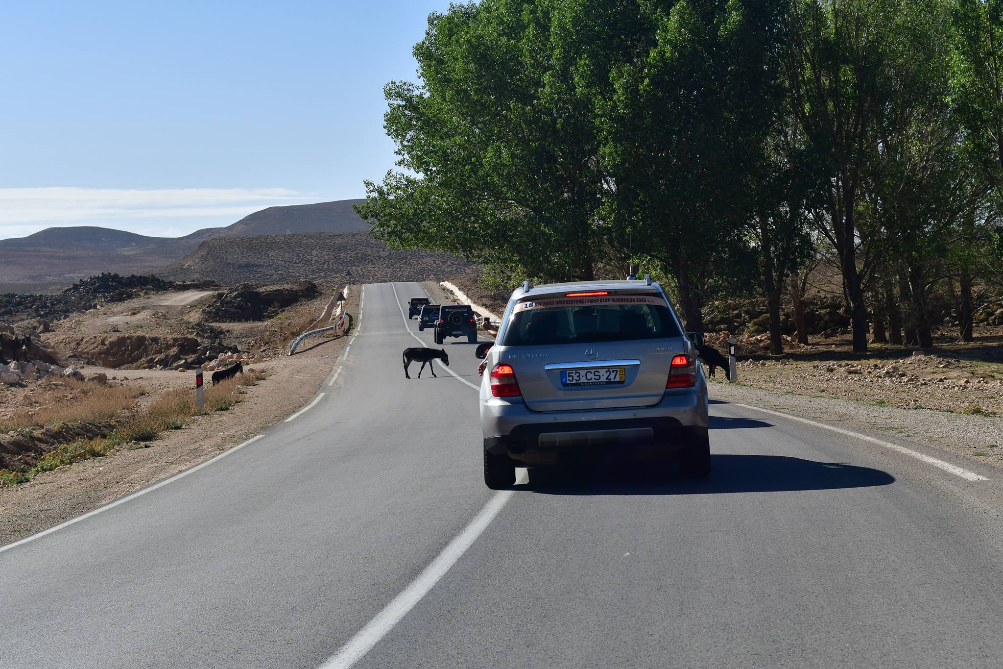 Off Road Bridgestone First Stop Marrocos 2022 308