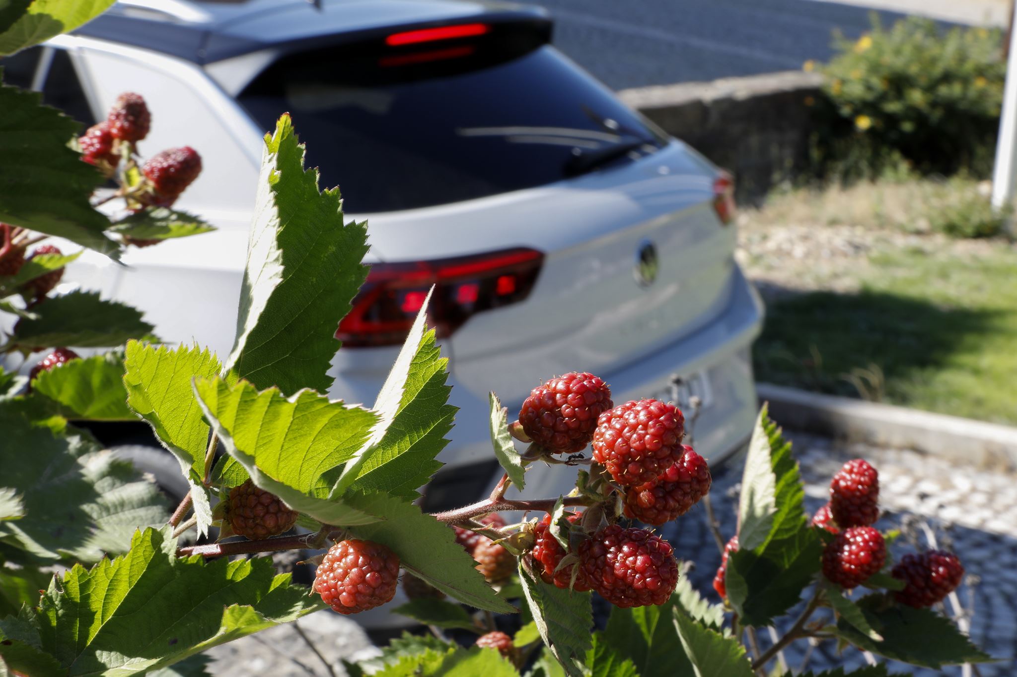 Volkswagen T Roc 1.5 TSI R Line 24