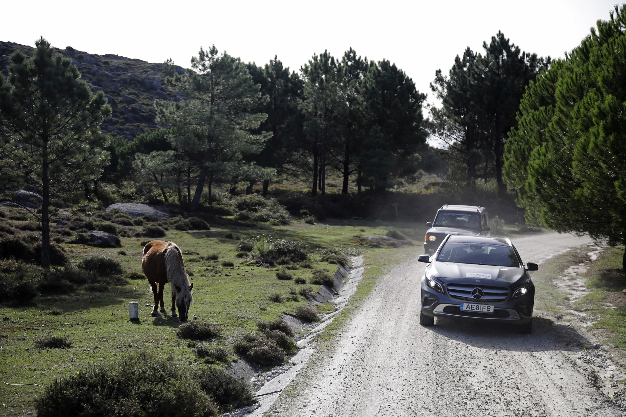 Offroad Bridgestone FirstStop Caminhos Santiago 2022 1112